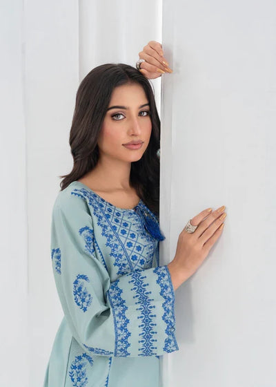 Jugun Blue Embroidered Co-Ord